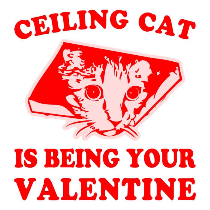 Ceiling Cat Valentines