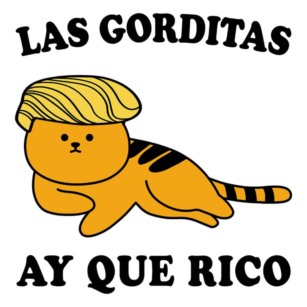 Orange Trump cat. Las gordidtas—ay, que rico.